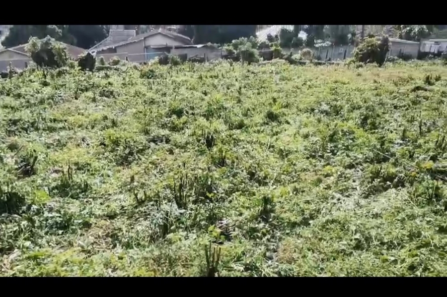 0 Bedroom Property for Sale in Hillary KwaZulu-Natal