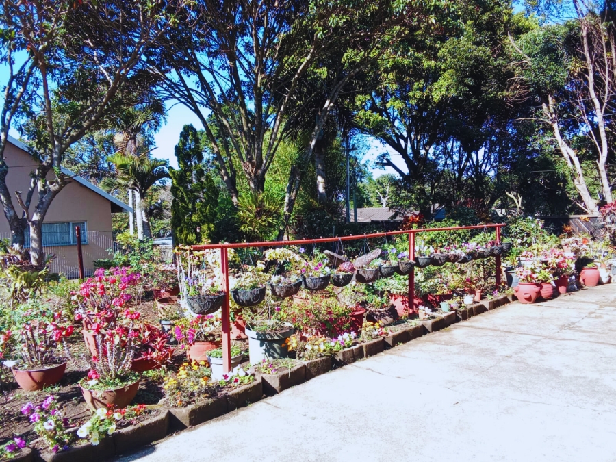 10 Bedroom Property for Sale in Eshowe KwaZulu-Natal