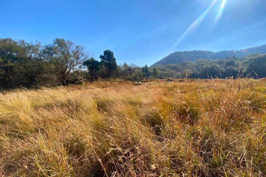 0 Bedroom Property for Sale in Vryheid KwaZulu-Natal