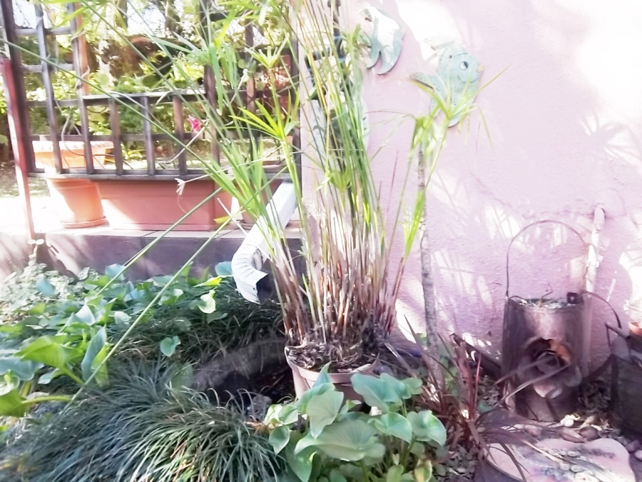 2 Bedroom Property for Sale in Aviary Hill KwaZulu-Natal