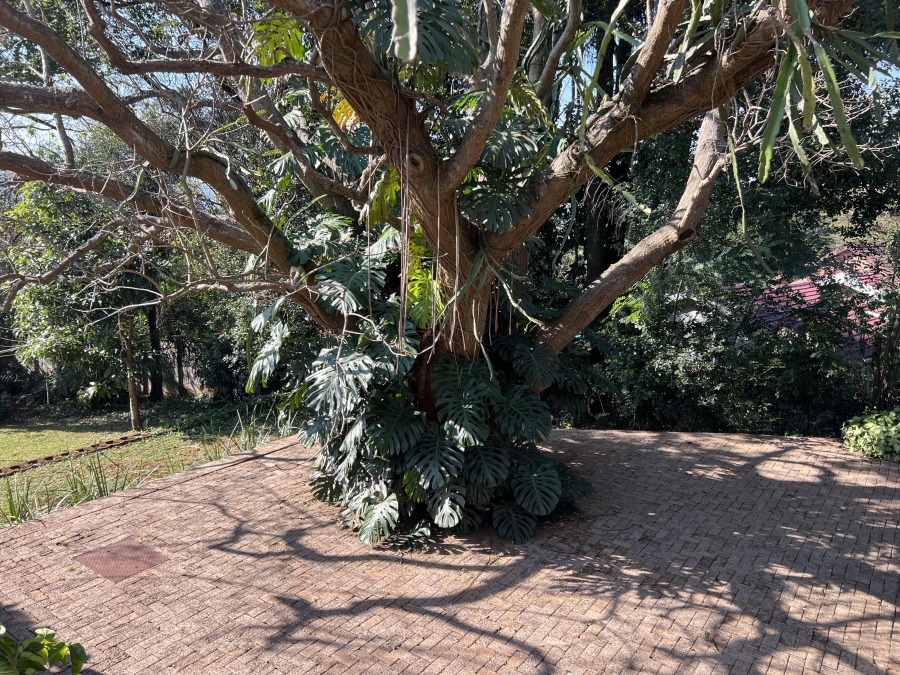 4 Bedroom Property for Sale in Athlone KwaZulu-Natal