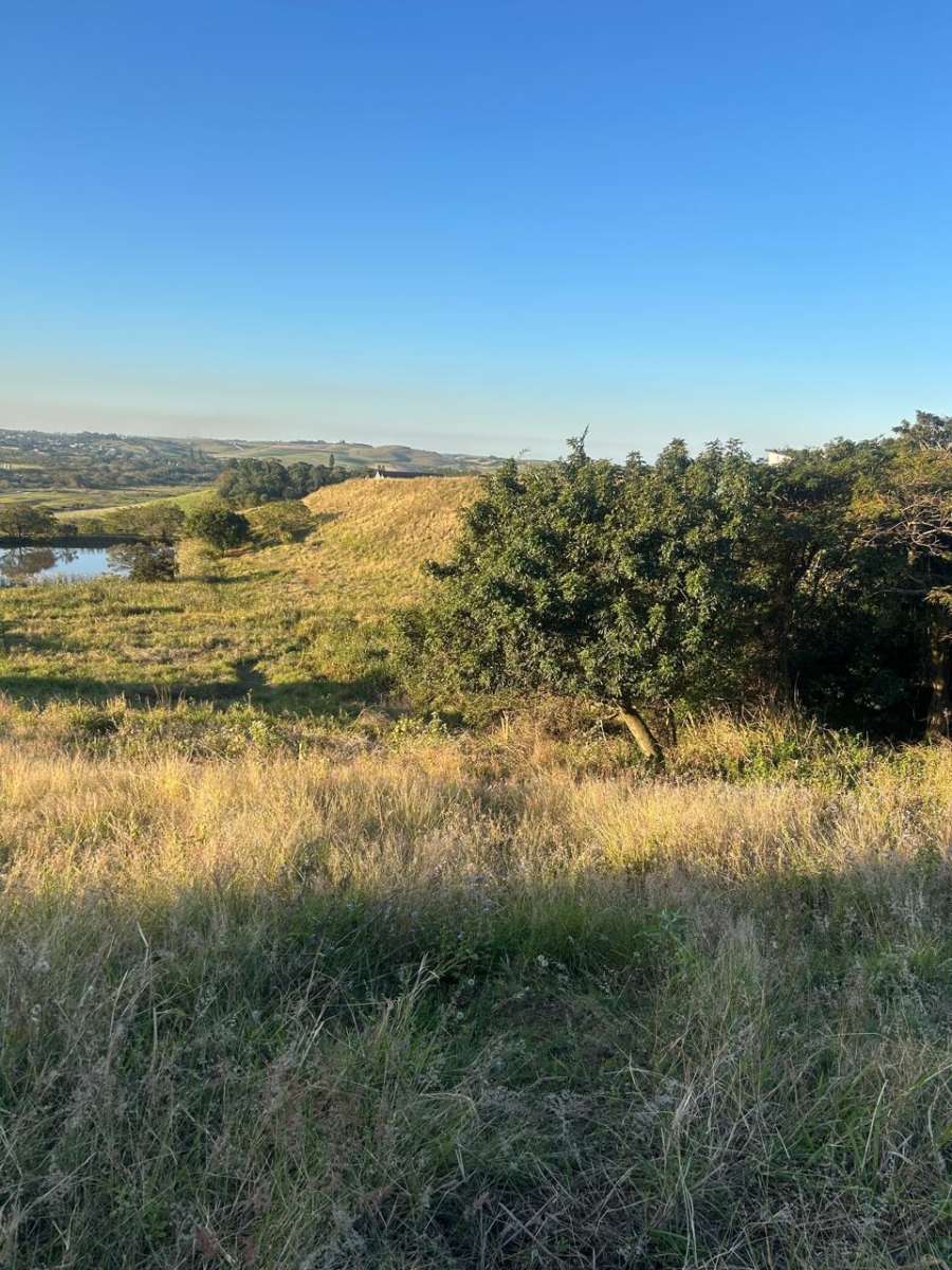 0 Bedroom Property for Sale in Springvale Country Estate KwaZulu-Natal