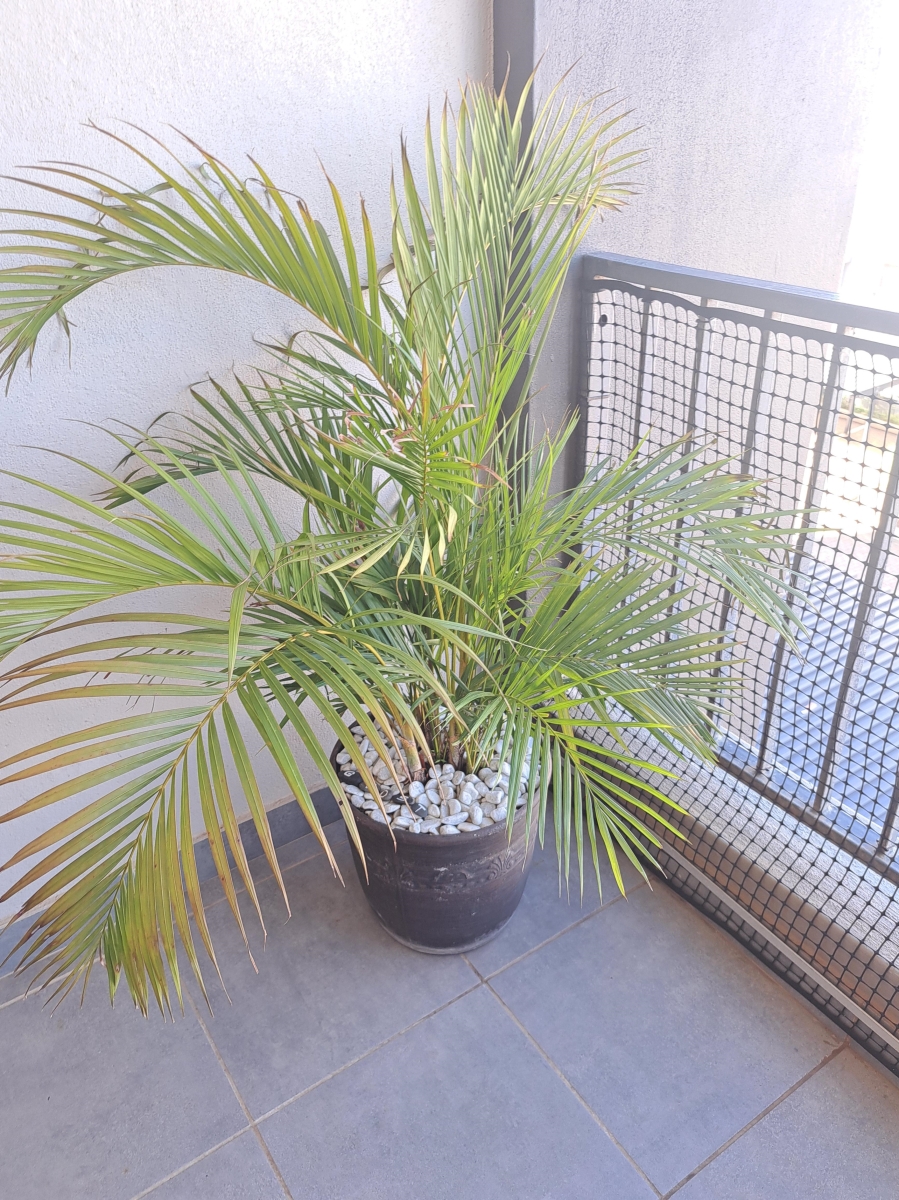 2 Bedroom Property for Sale in Ballito Central KwaZulu-Natal