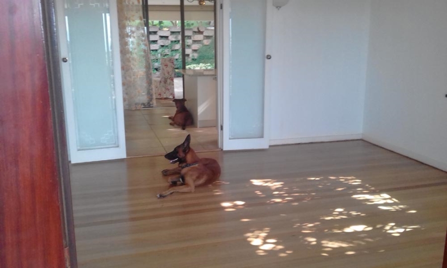 To Let 2 Bedroom Property for Rent in Glenwood KwaZulu-Natal