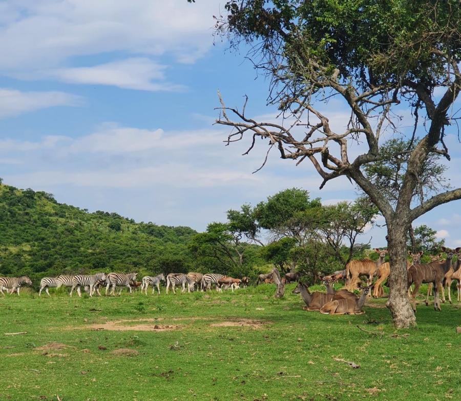 20 Bedroom Property for Sale in Estcourt Rural KwaZulu-Natal