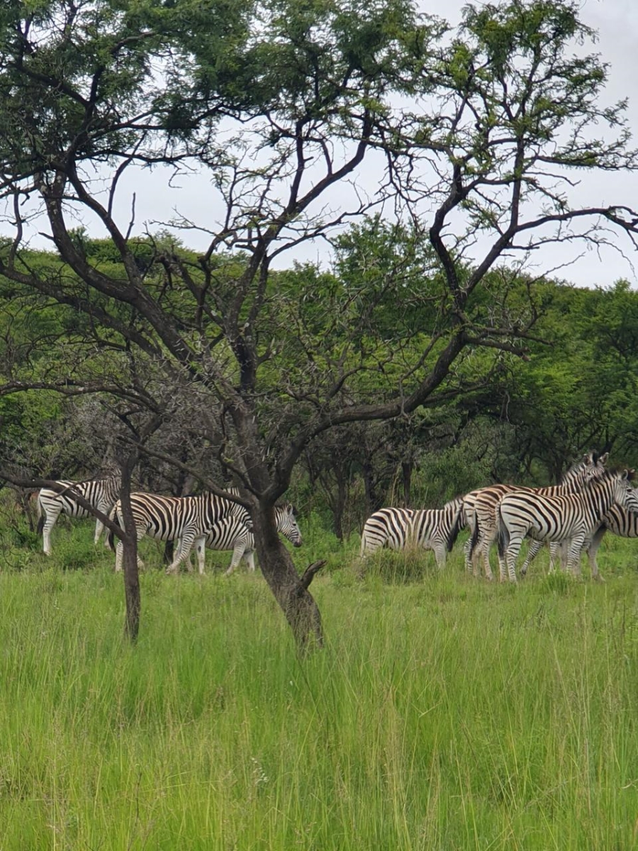 20 Bedroom Property for Sale in Estcourt Rural KwaZulu-Natal