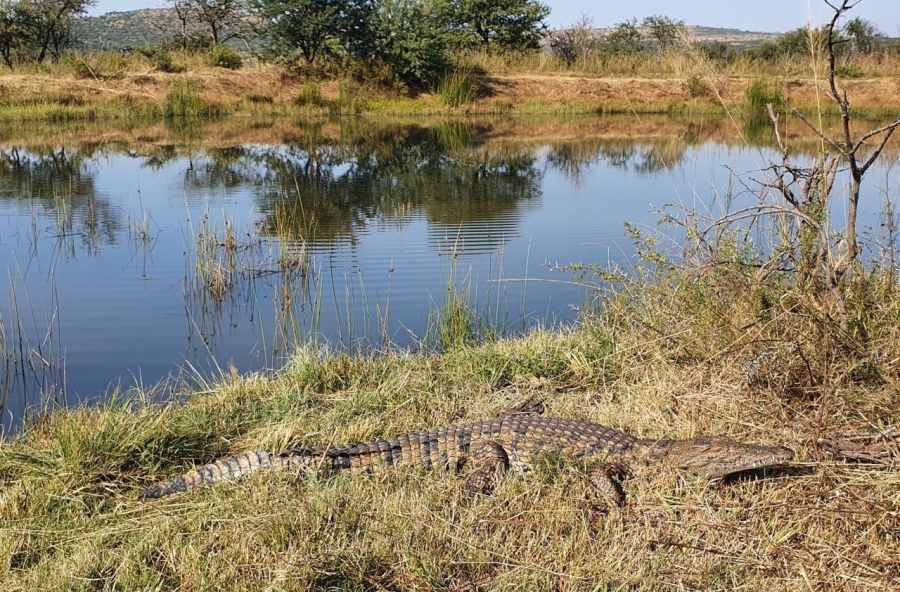 20 Bedroom Property for Sale in Estcourt Rural KwaZulu-Natal