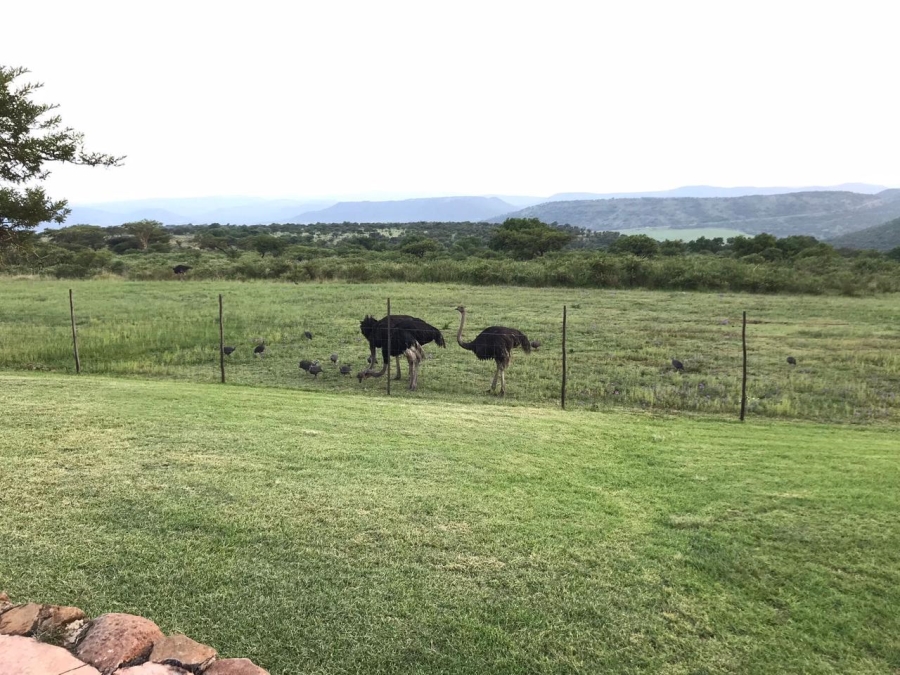 20 Bedroom Property for Sale in Estcourt Rural KwaZulu-Natal