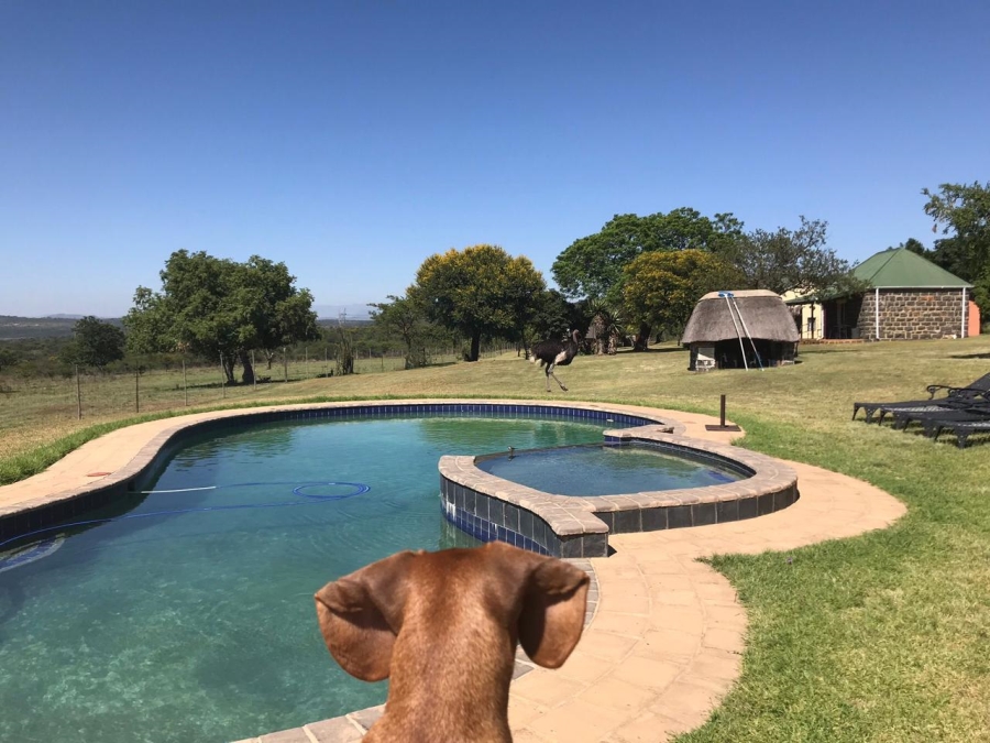 20 Bedroom Property for Sale in Estcourt Rural KwaZulu-Natal