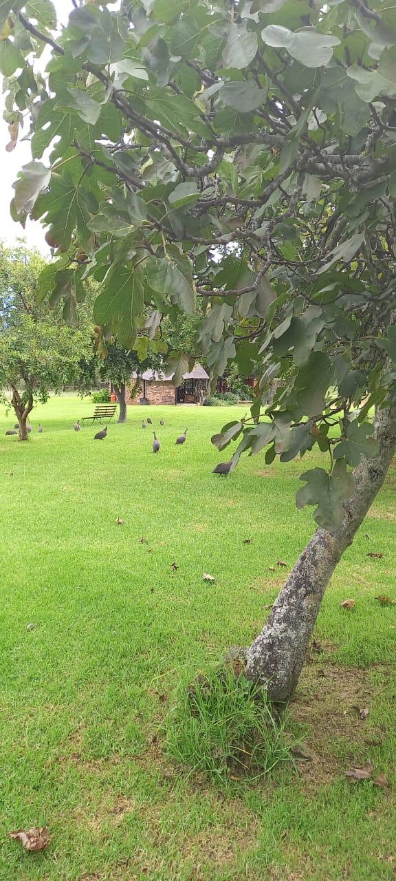 20 Bedroom Property for Sale in Estcourt Rural KwaZulu-Natal
