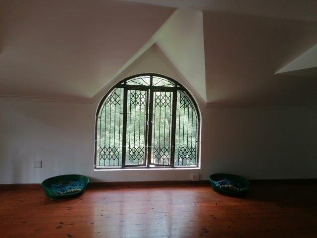 To Let 2 Bedroom Property for Rent in Westville Central KwaZulu-Natal