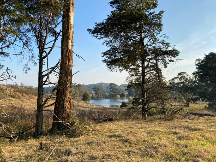 0 Bedroom Property for Sale in Howick Rural KwaZulu-Natal