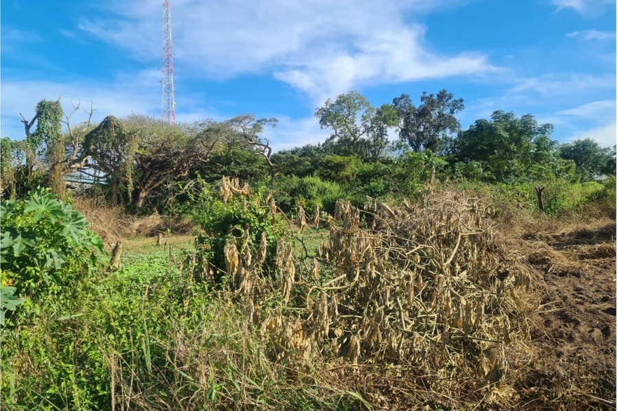 0 Bedroom Property for Sale in Kwambonambi KwaZulu-Natal