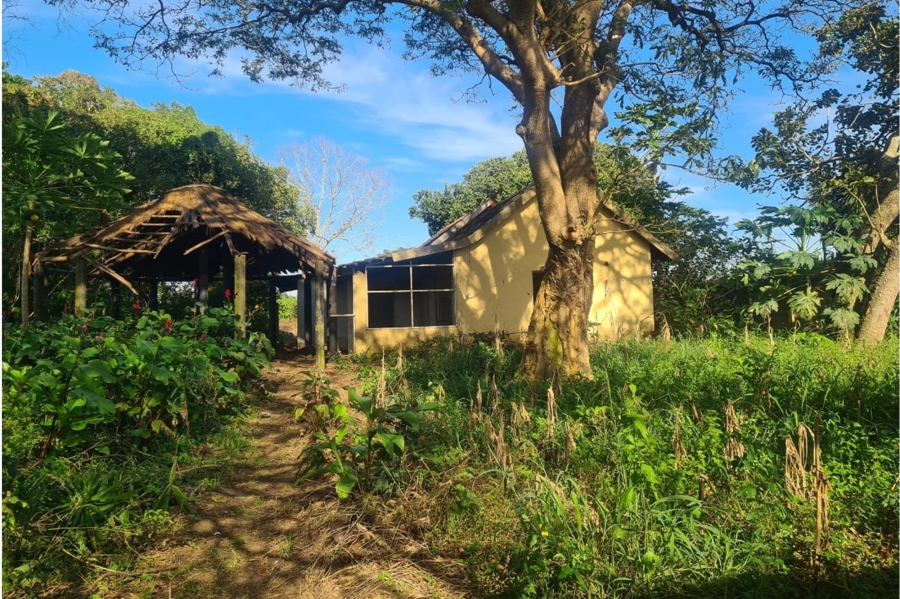 0 Bedroom Property for Sale in Kwambonambi KwaZulu-Natal