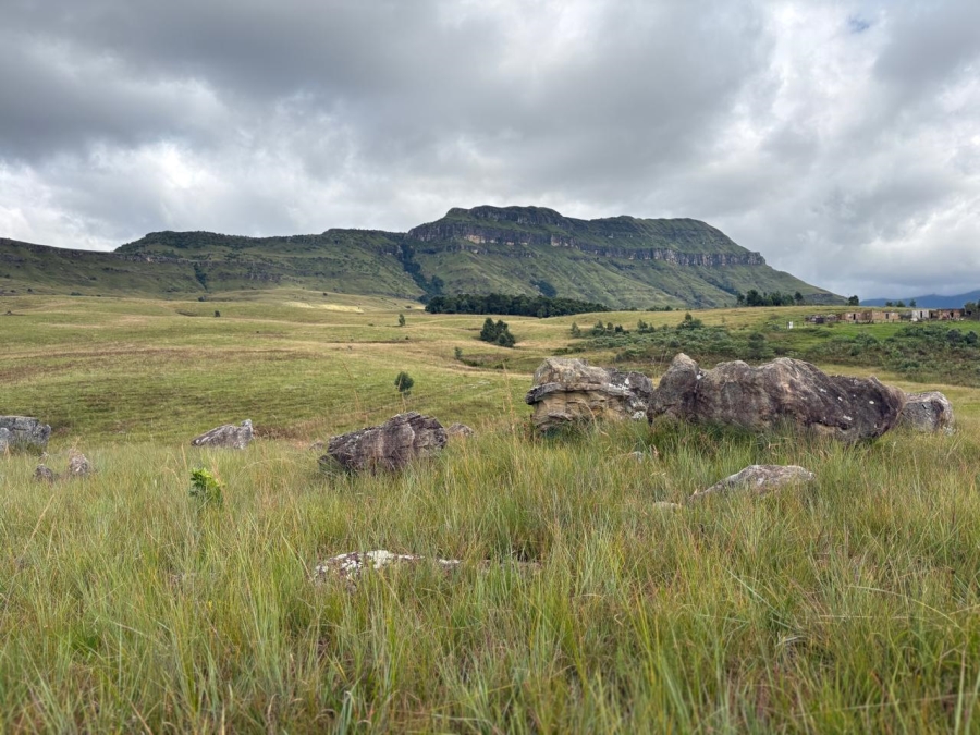 0 Bedroom Property for Sale in Drakensberg KwaZulu-Natal