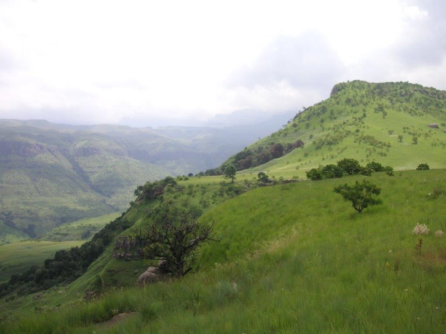 0 Bedroom Property for Sale in Drakensberg KwaZulu-Natal