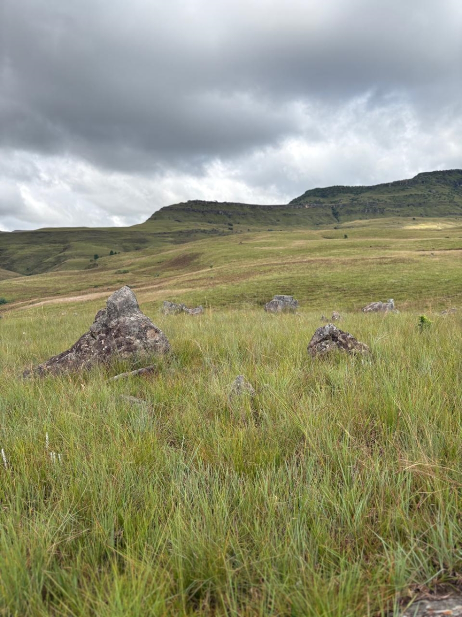 0 Bedroom Property for Sale in Drakensberg KwaZulu-Natal