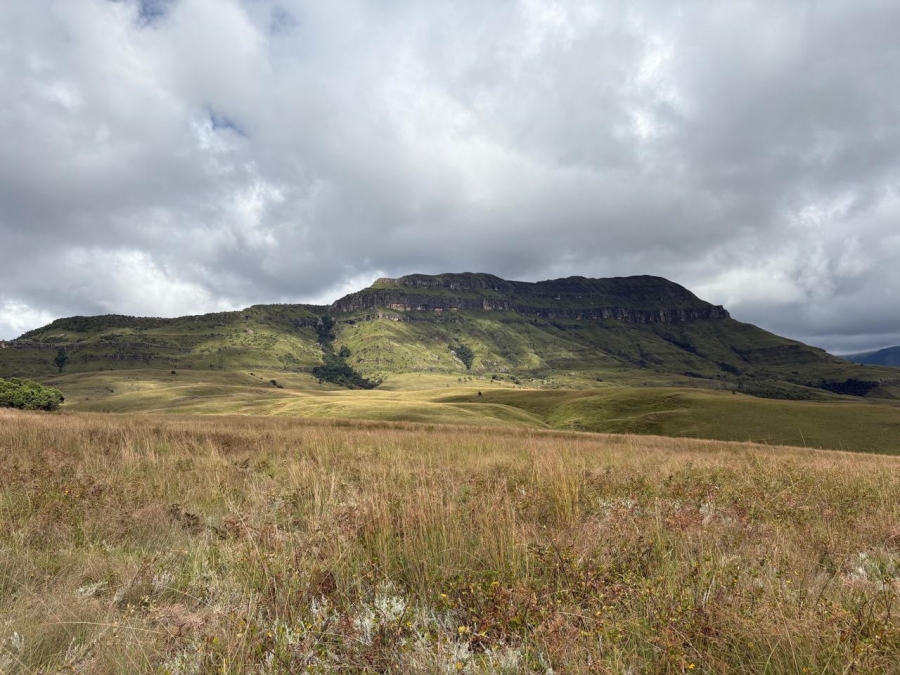 0 Bedroom Property for Sale in Drakensberg KwaZulu-Natal