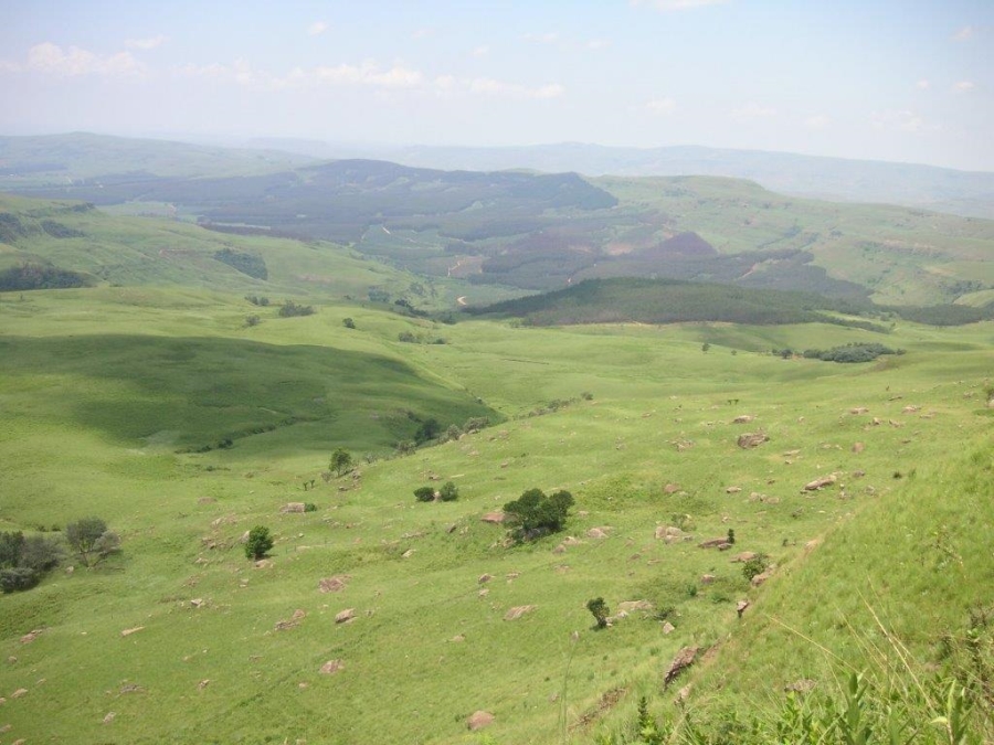 0 Bedroom Property for Sale in Drakensberg KwaZulu-Natal