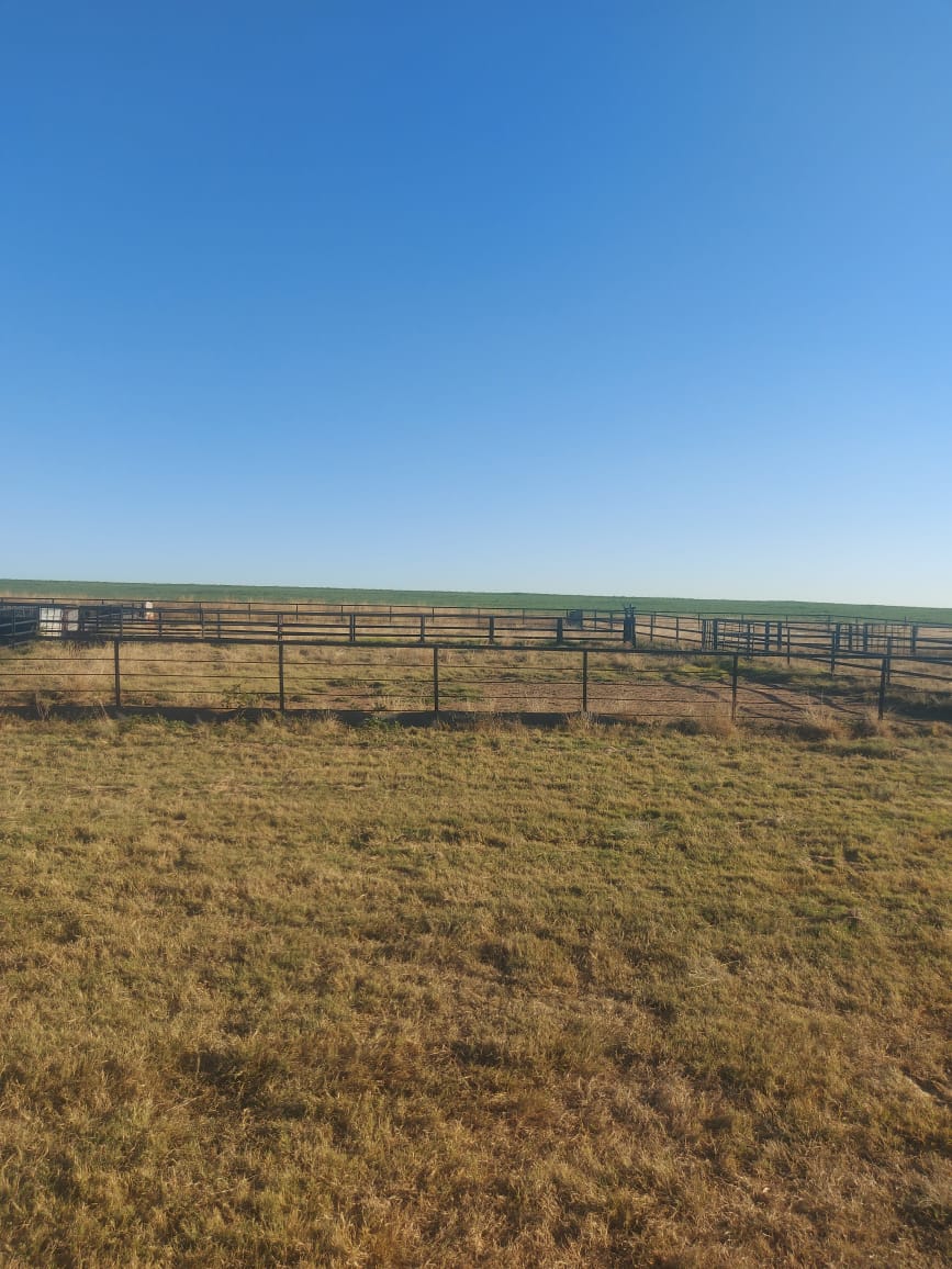 Commercial Property for Sale in Helpmekaar KwaZulu-Natal