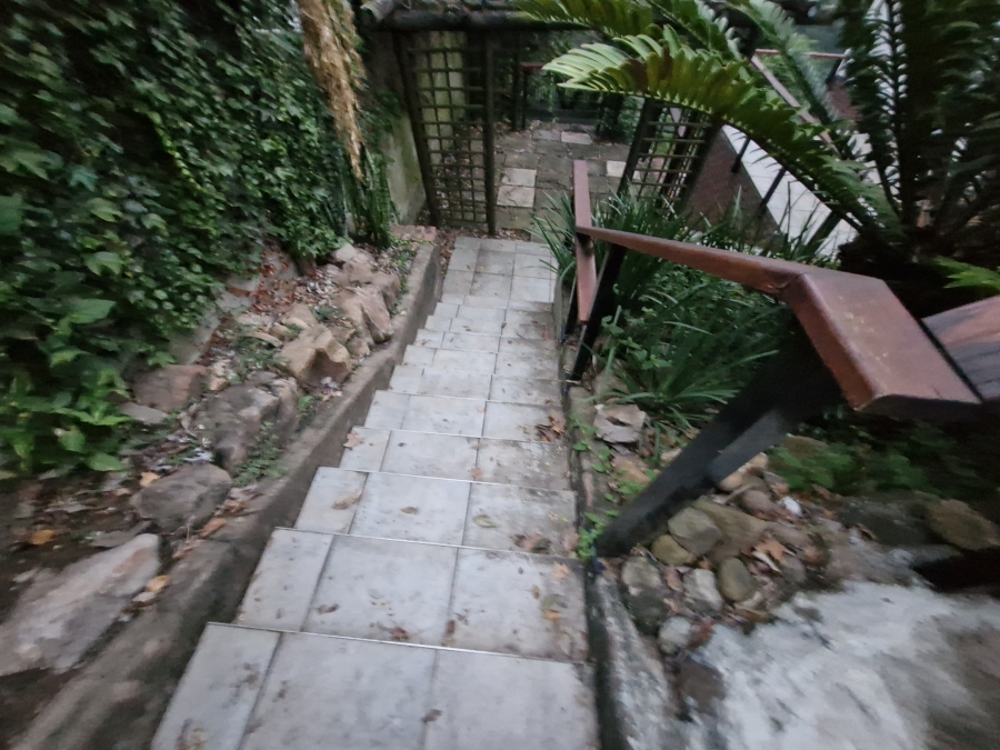 To Let 3 Bedroom Property for Rent in Westville Central KwaZulu-Natal