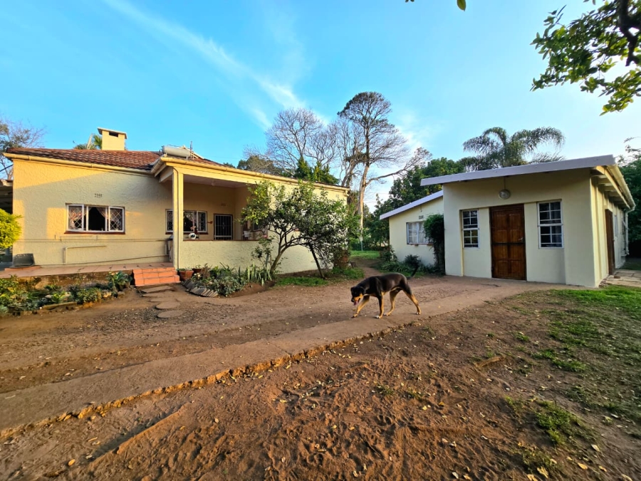 5 Bedroom Property for Sale in Eshowe KwaZulu-Natal