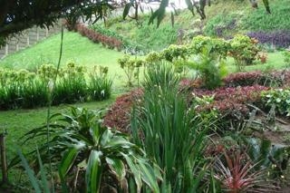 6 Bedroom Property for Sale in Tugela Mouth KwaZulu-Natal