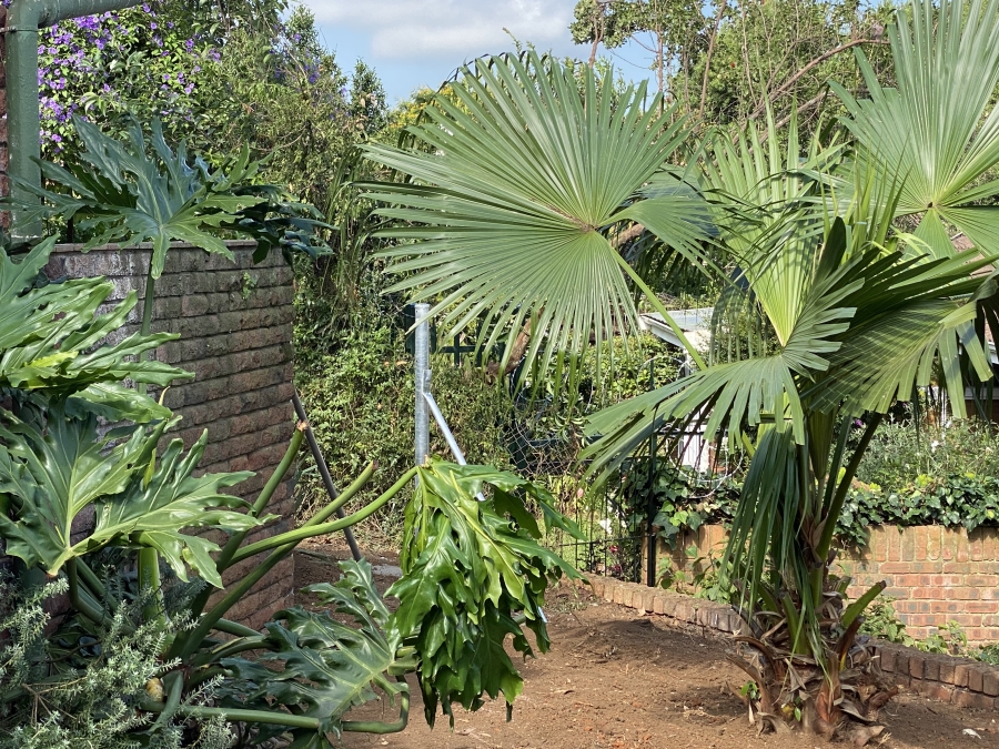 To Let 2 Bedroom Property for Rent in Howick KwaZulu-Natal