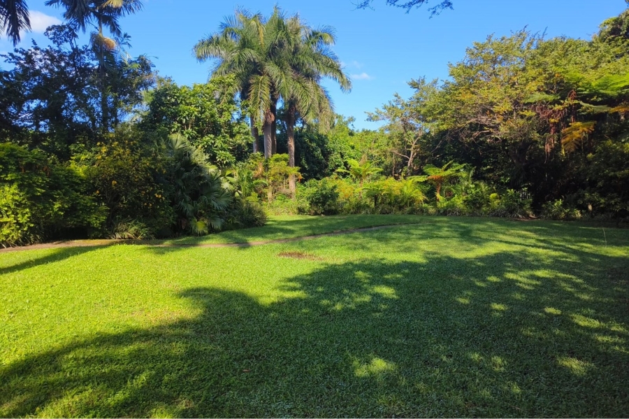 To Let 1 Bedroom Property for Rent in Arboretum KwaZulu-Natal