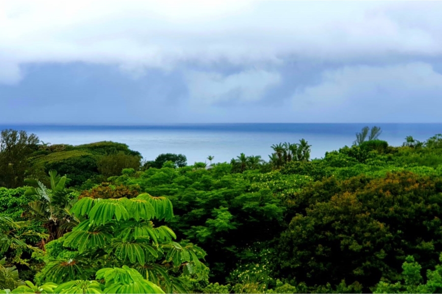 3 Bedroom Property for Sale in Catalina Bay KwaZulu-Natal