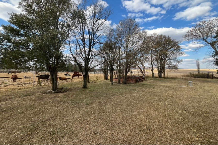 9 Bedroom Property for Sale in Hattingspruit KwaZulu-Natal