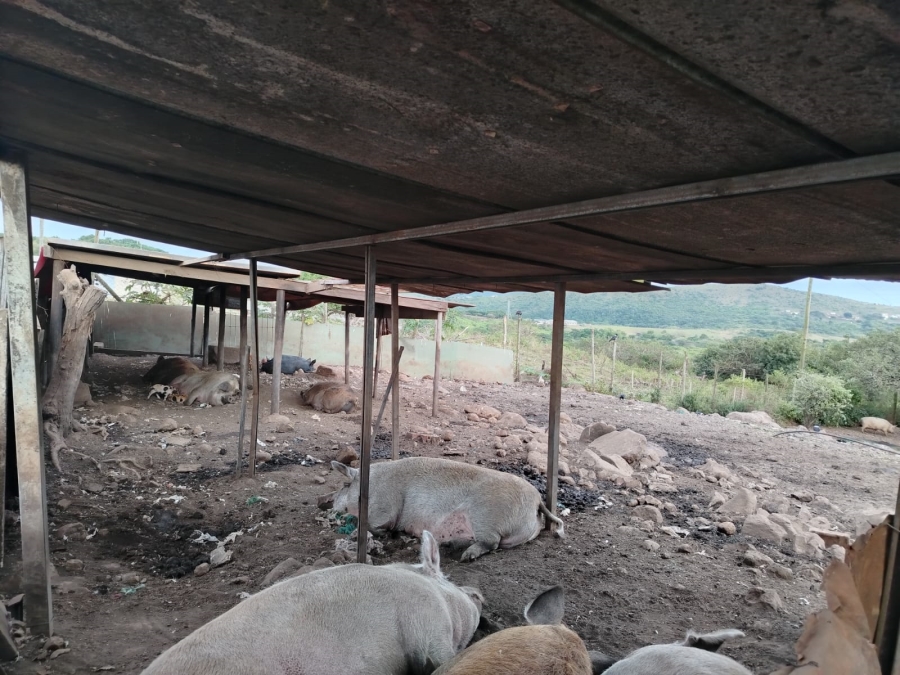 3 Bedroom Property for Sale in Empangeni Rural KwaZulu-Natal