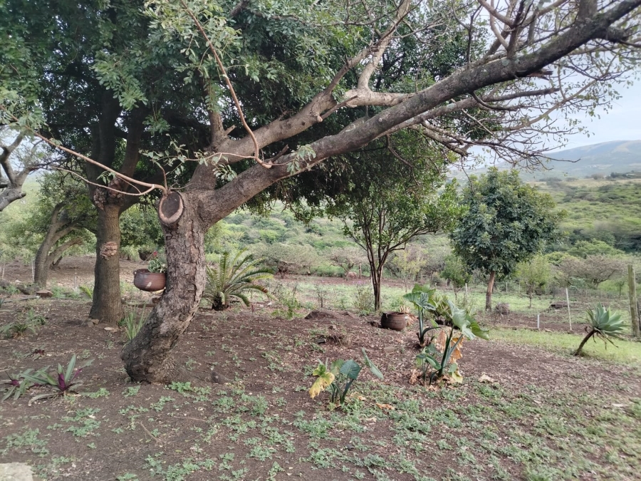 3 Bedroom Property for Sale in Empangeni Rural KwaZulu-Natal