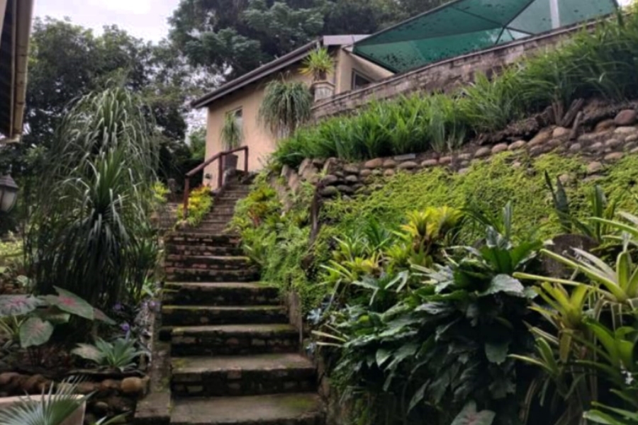 3 Bedroom Property for Sale in Escombe KwaZulu-Natal