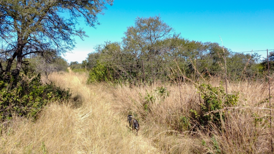 5 Bedroom Property for Sale in Dundee Rural KwaZulu-Natal