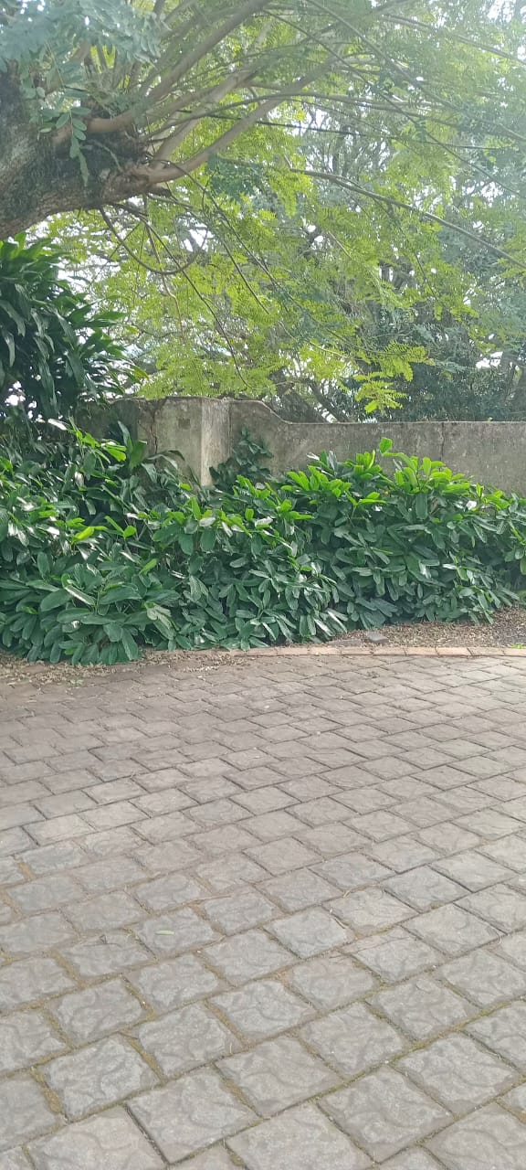 8 Bedroom Property for Sale in Bongela KwaZulu-Natal