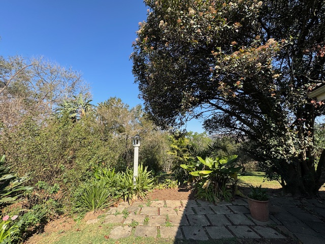 To Let 4 Bedroom Property for Rent in Clarendon KwaZulu-Natal