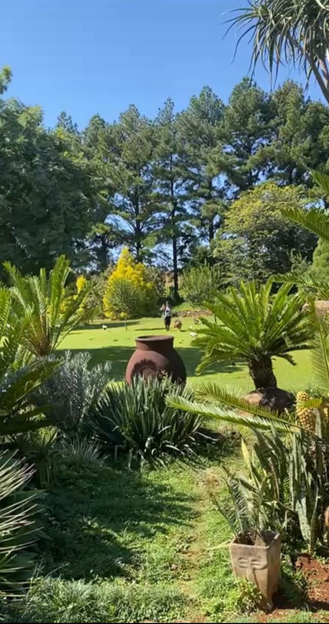 Commercial Property for Sale in Hilldrop KwaZulu-Natal