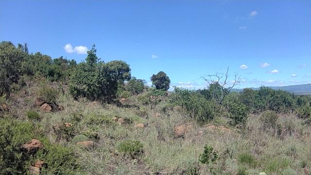 Commercial Property for Sale in Hilldrop KwaZulu-Natal