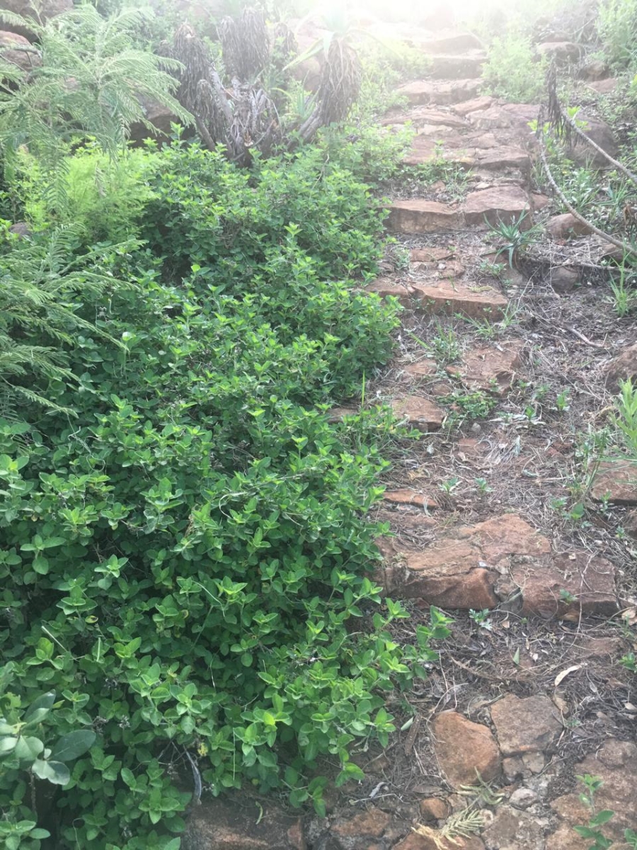 Commercial Property for Sale in Hilldrop KwaZulu-Natal