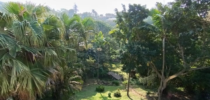 3 Bedroom Property for Sale in Amanzimtoti KwaZulu-Natal