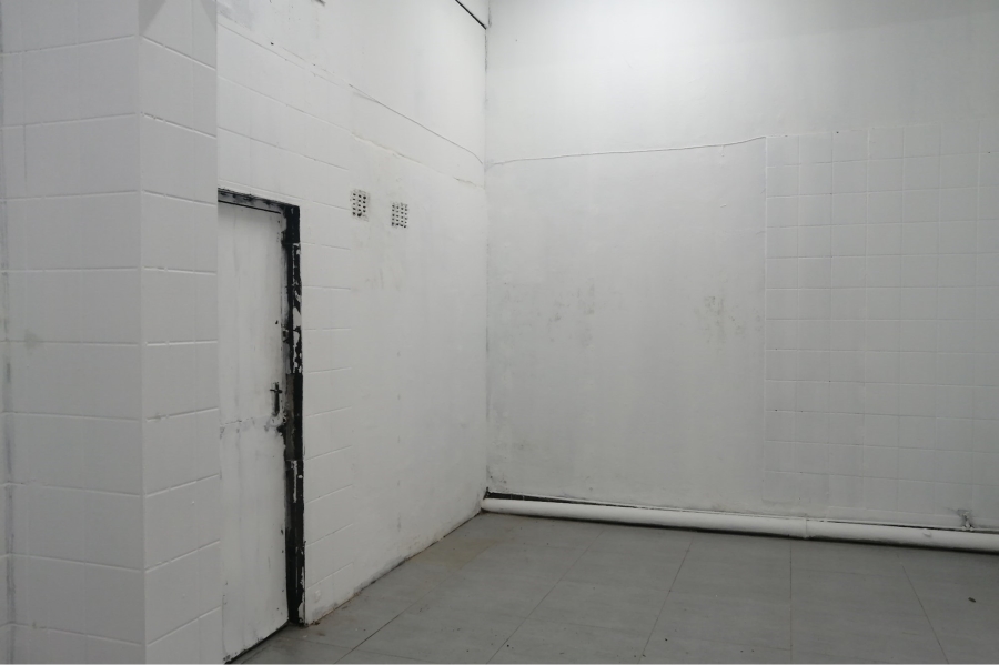 To Let commercial Property for Rent in Musgrave KwaZulu-Natal