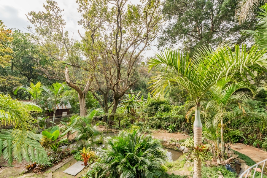 11 Bedroom Property for Sale in Escombe KwaZulu-Natal