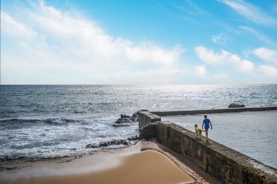 0 Bedroom Property for Sale in Sheffield Beach KwaZulu-Natal