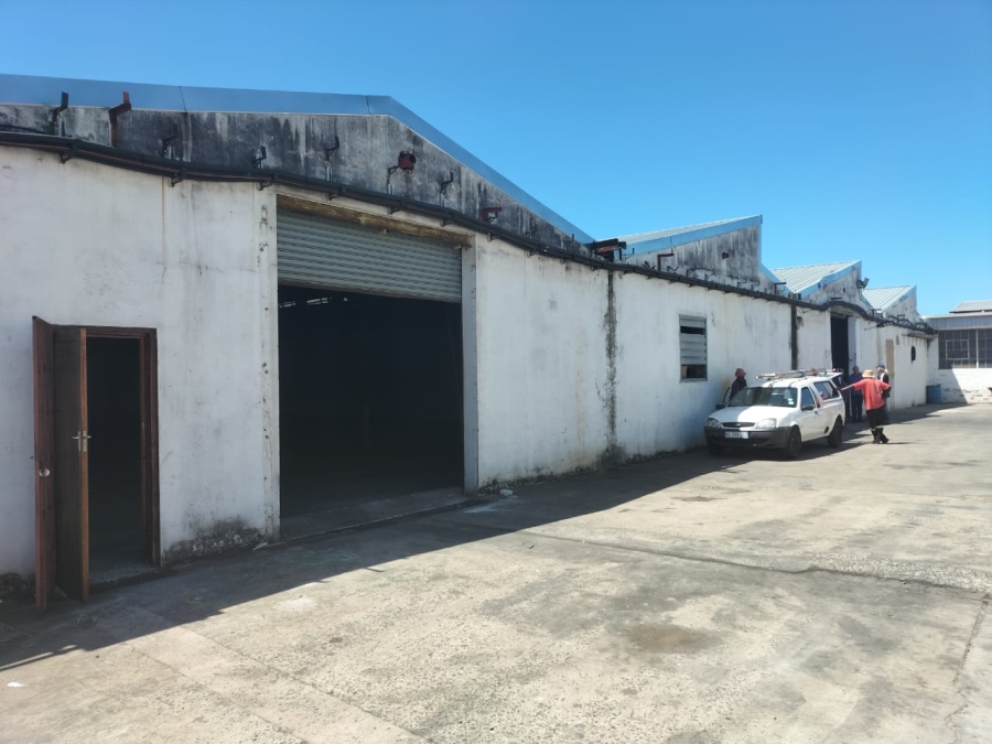 To Let commercial Property for Rent in Amanzimnyama KwaZulu-Natal