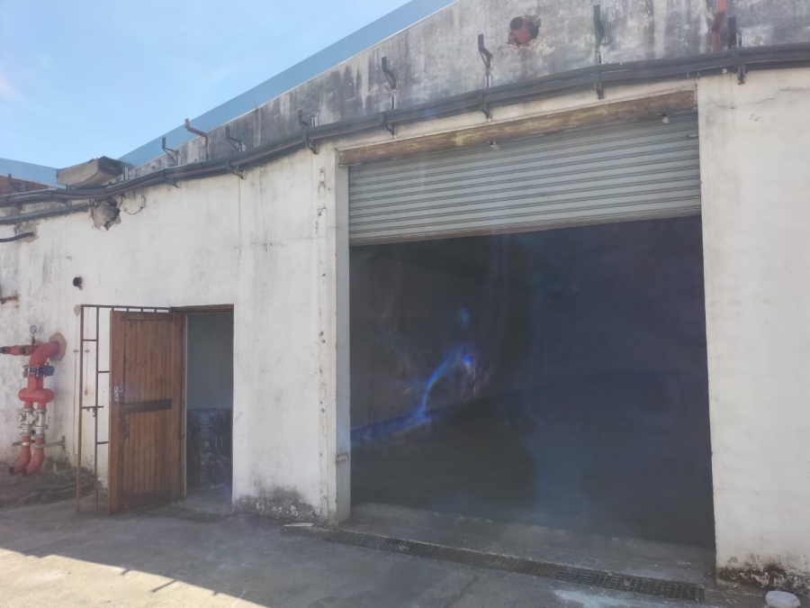 To Let commercial Property for Rent in Amanzimnyama KwaZulu-Natal