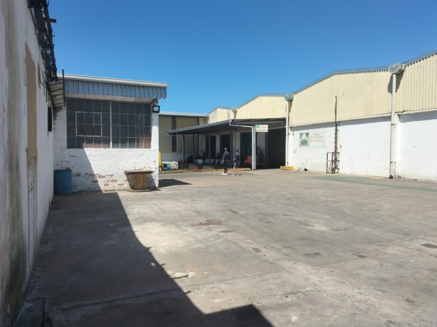 To Let commercial Property for Rent in Amanzimnyama KwaZulu-Natal