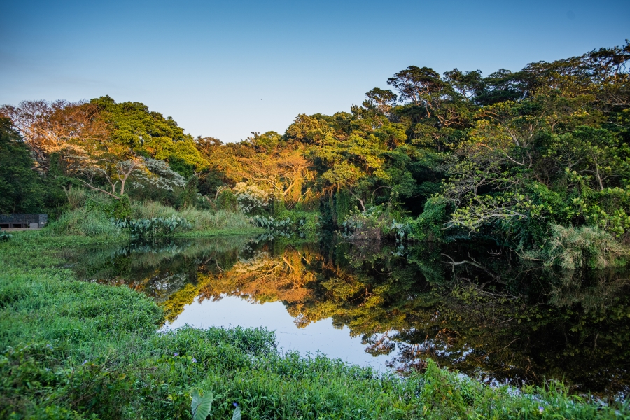 2 Bedroom Property for Sale in Elaleni Coastal Forest Estate KwaZulu-Natal