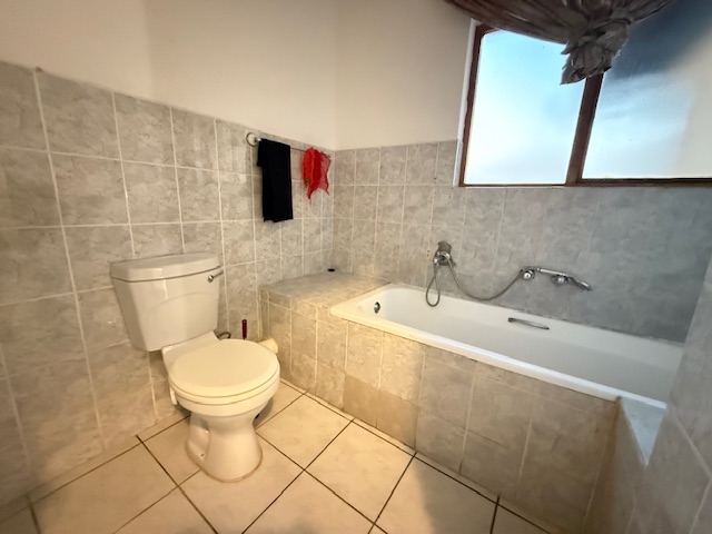 To Let 3 Bedroom Property for Rent in Arboretum KwaZulu-Natal