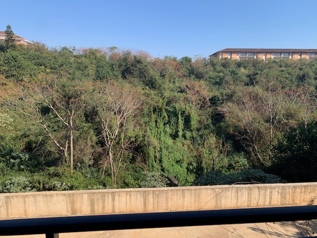 To Let 2 Bedroom Property for Rent in Westville Central KwaZulu-Natal